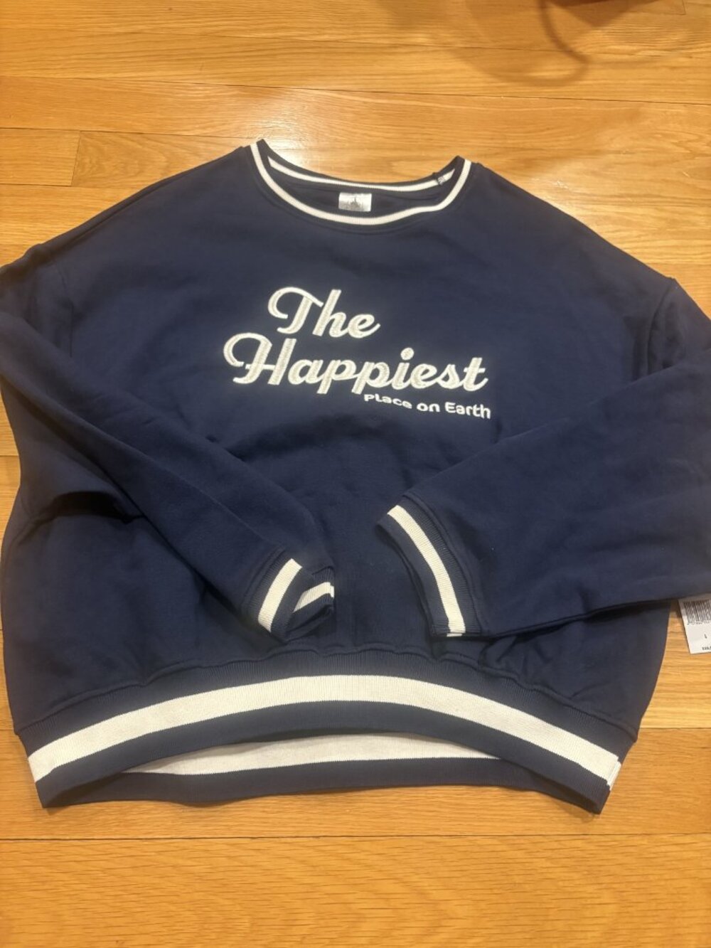 Disney Size Large (L) The Happiest Place on Earth Pullover Sweater